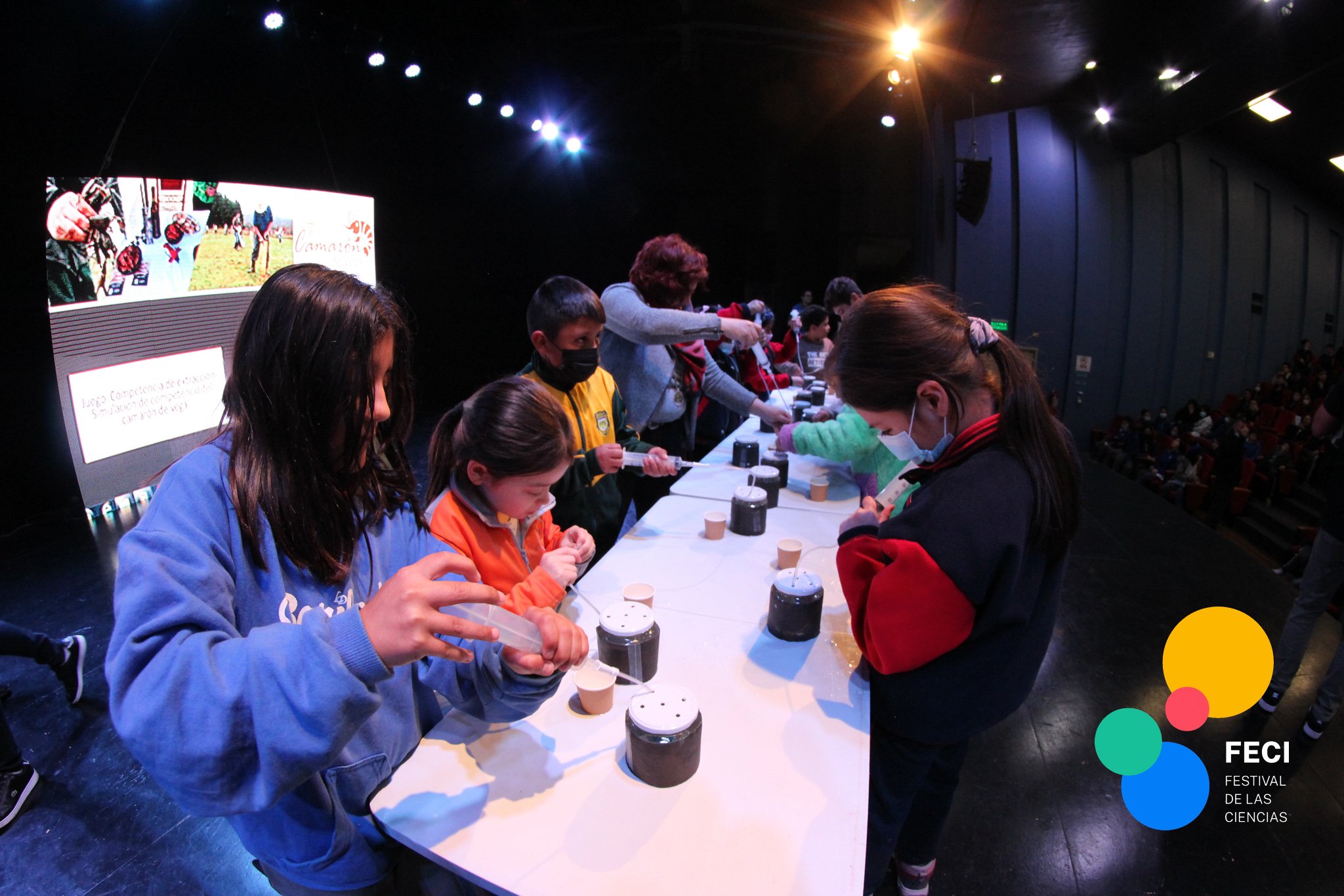 CICAT se adjudicó el Festival de las Ciencias en Biobío