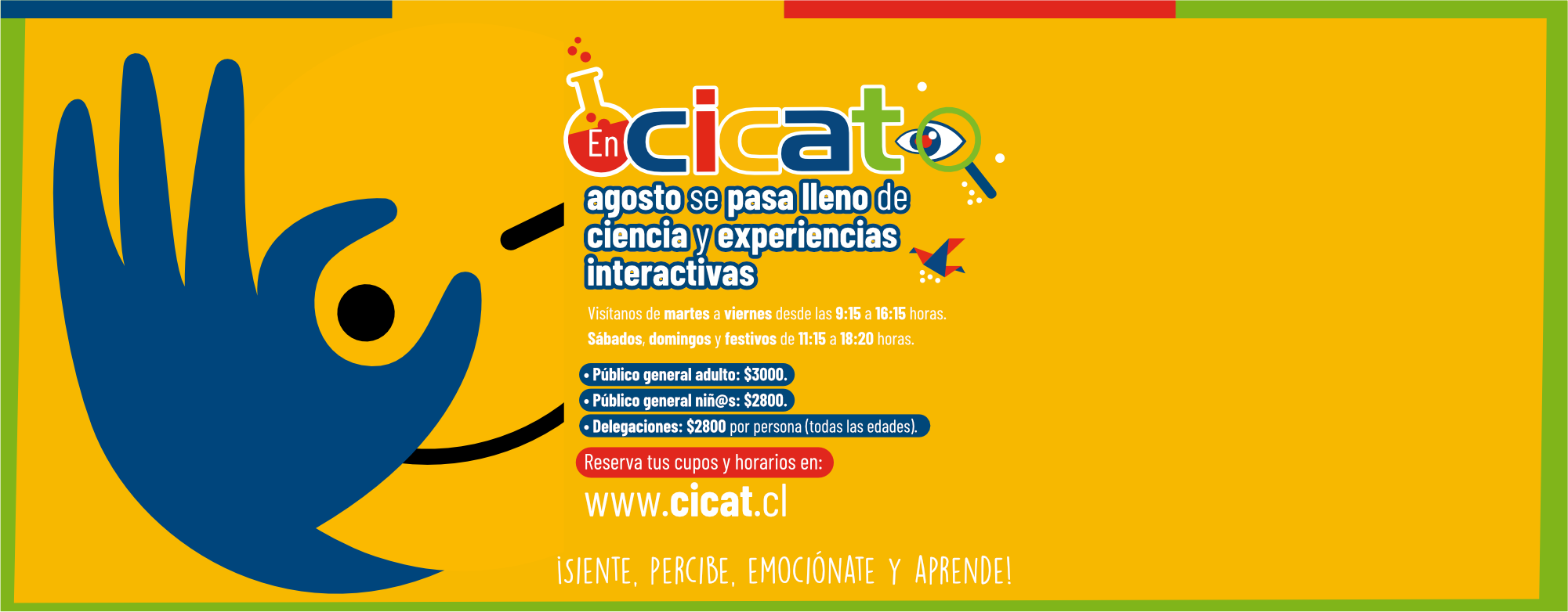 Cabecera.png