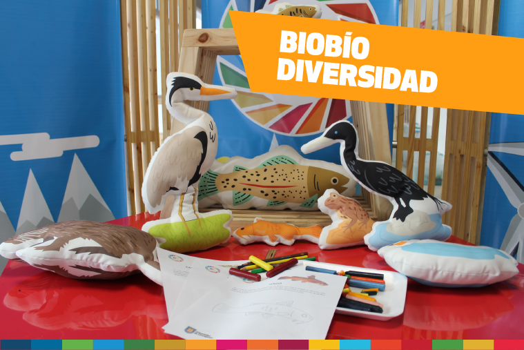 Bases talleres Biobiósfera (2).png