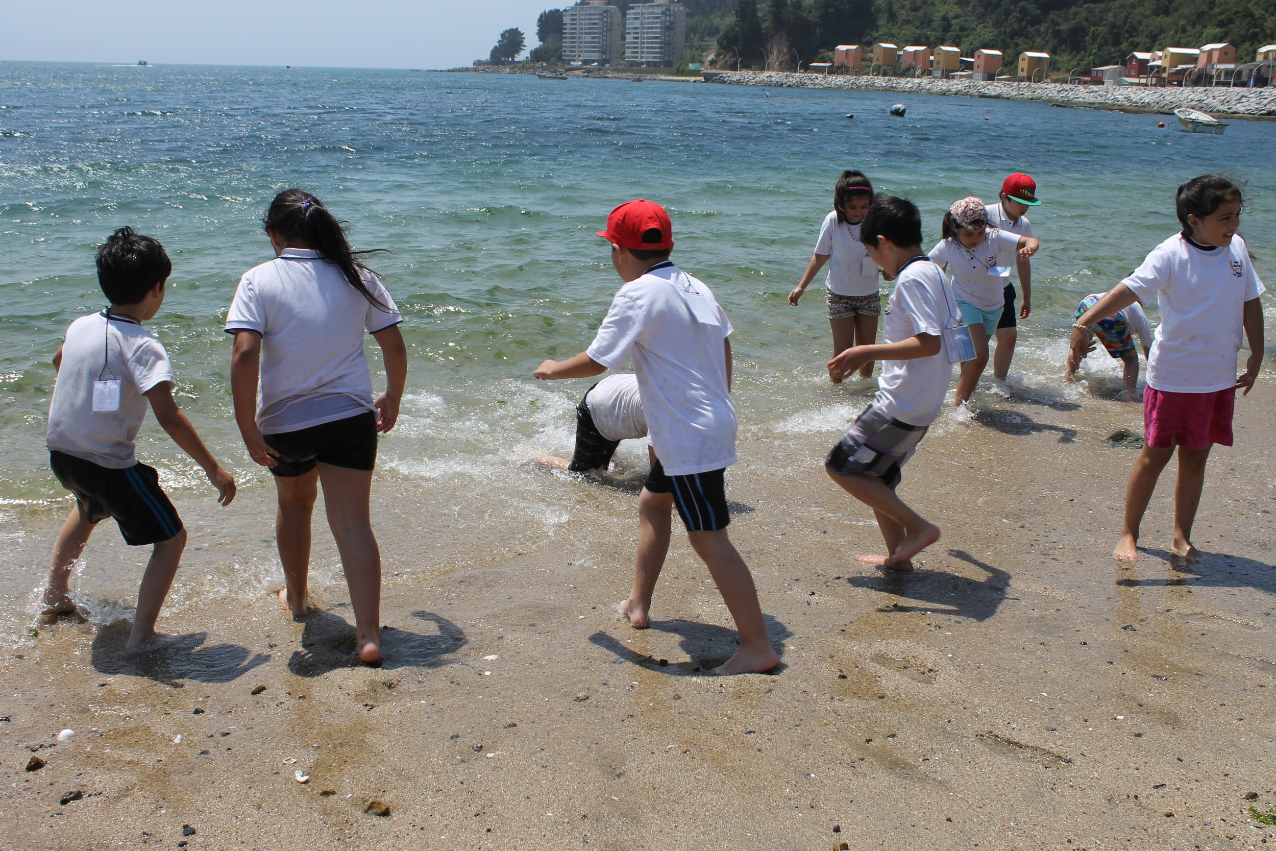 IMG_9966.JPG