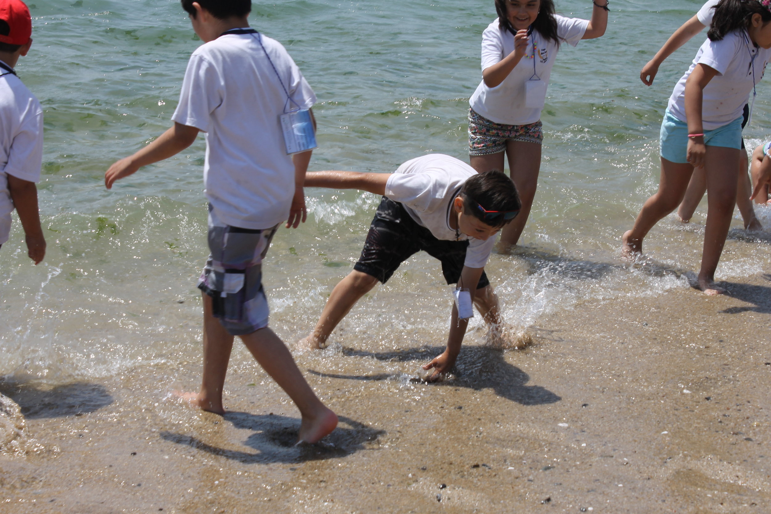 IMG_9967.JPG
