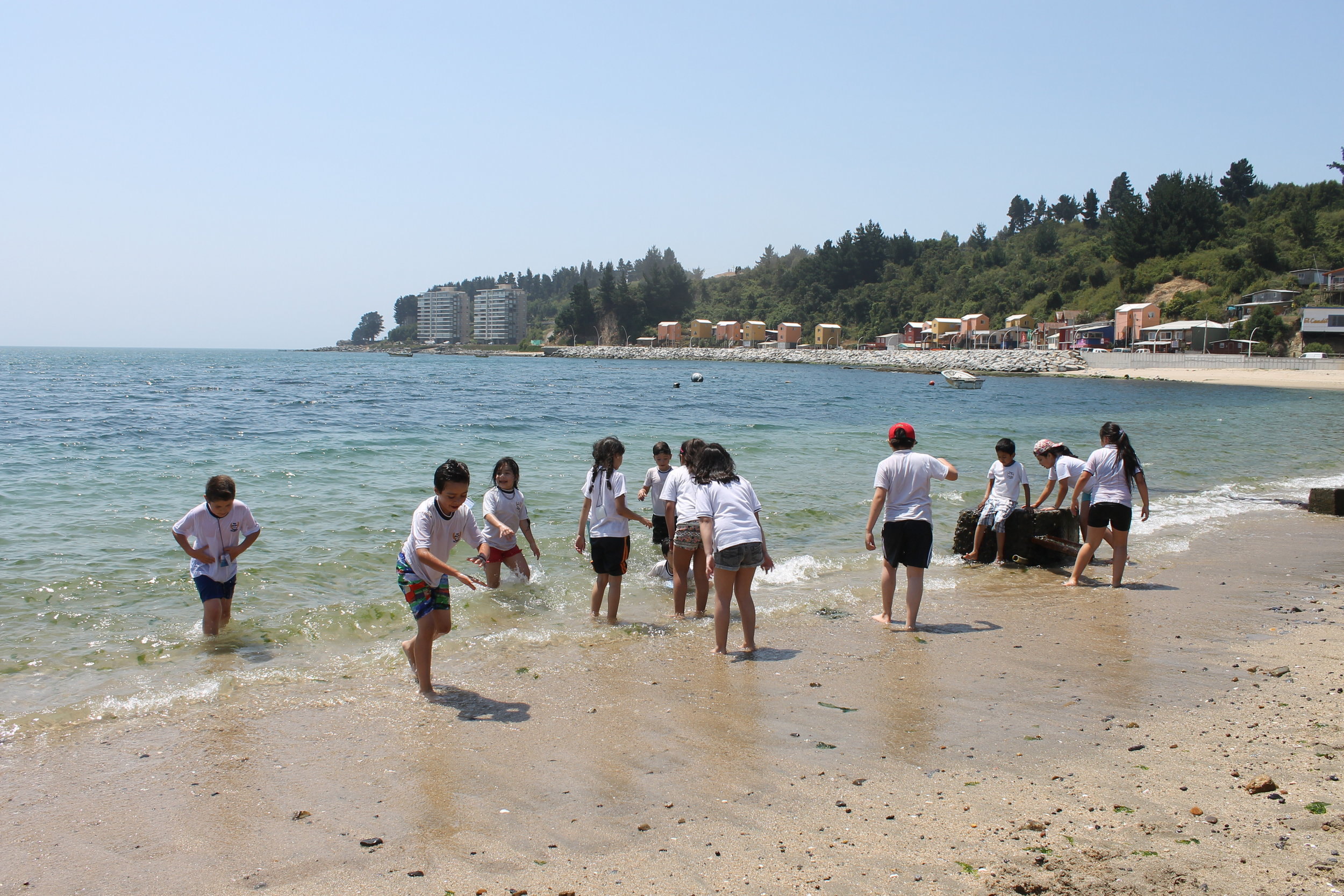 IMG_9990.JPG