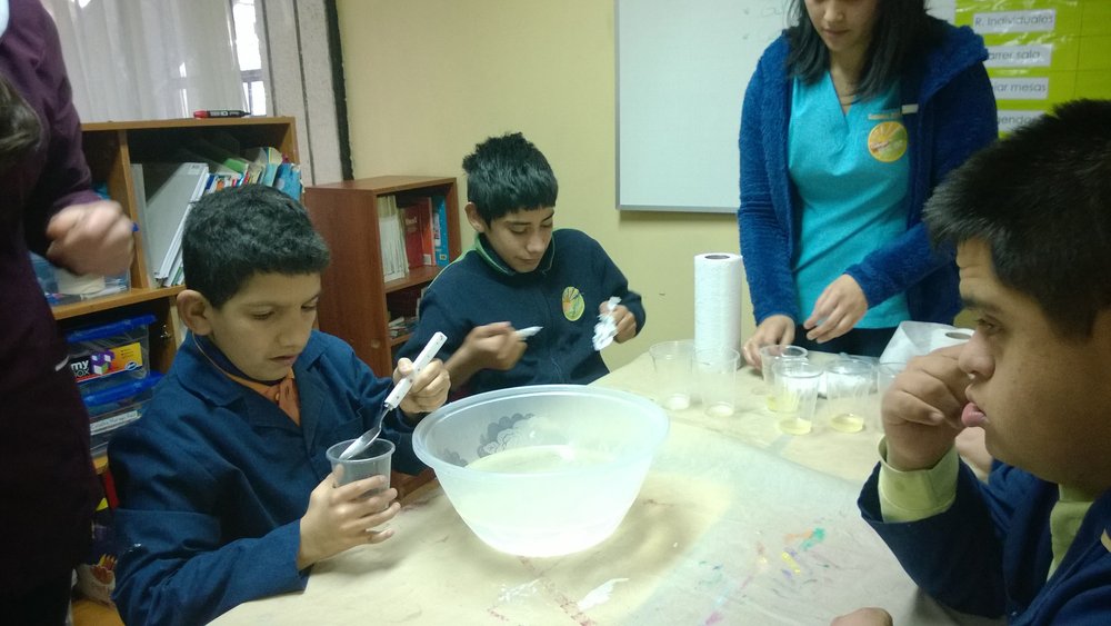 Colegio Diferencial Perse Concepción.jpg
