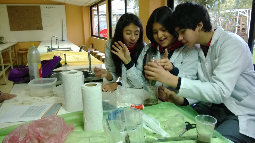 Colegio TP Padre Huertado. Chillan.jpg