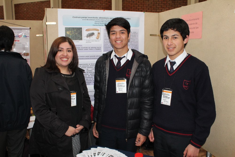“Cestrum parqui insecticida alimentario para el Tenebrio molitor” Liceo Bicentenario Polivalente de Excelencia de San Nicolás 